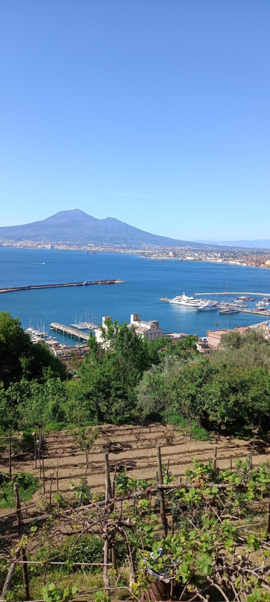 Emma Dimore Lägenhet Castellammare di Stabia Rum bild
